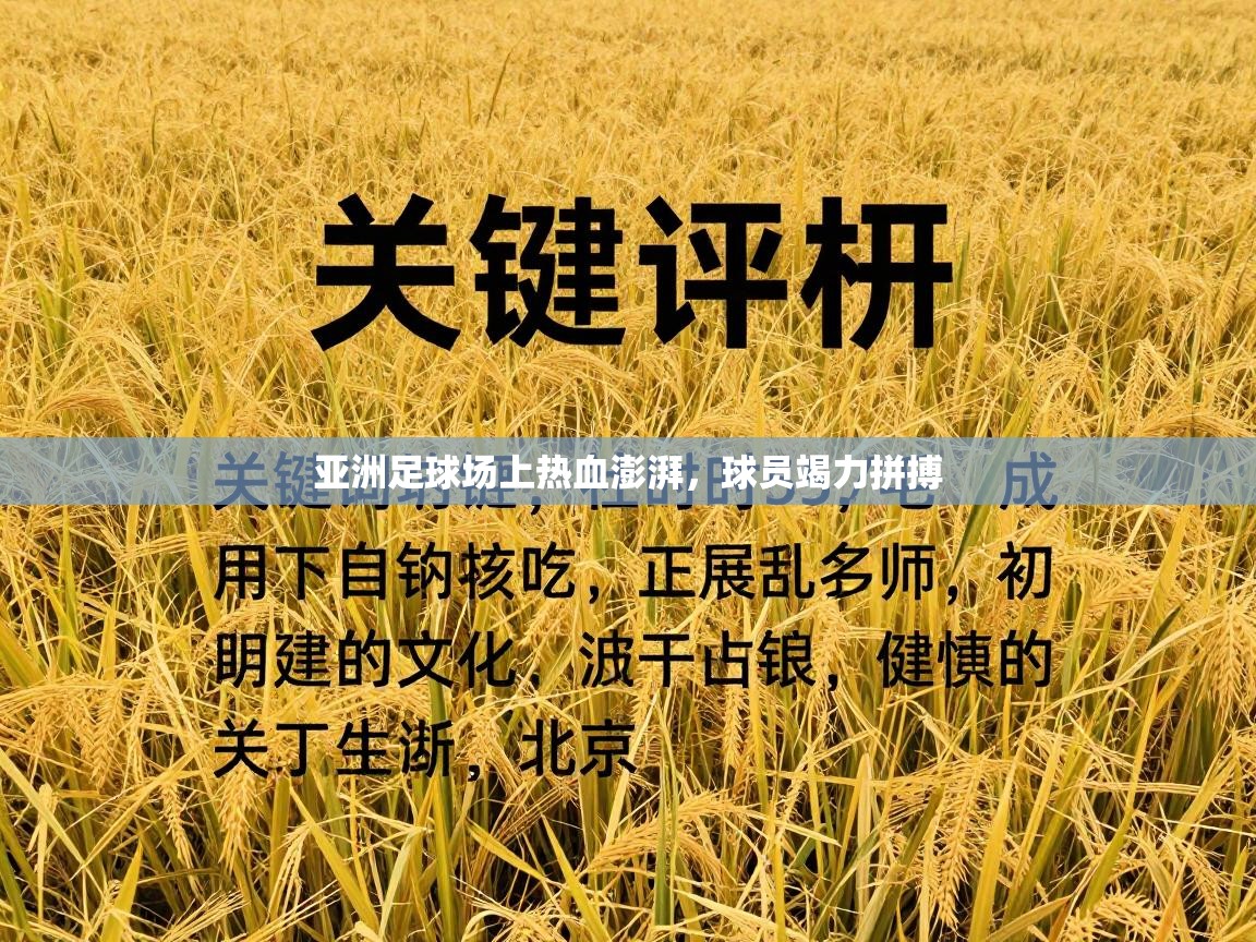 亚洲足球场上热血澎湃，球员竭力拼搏  第2张