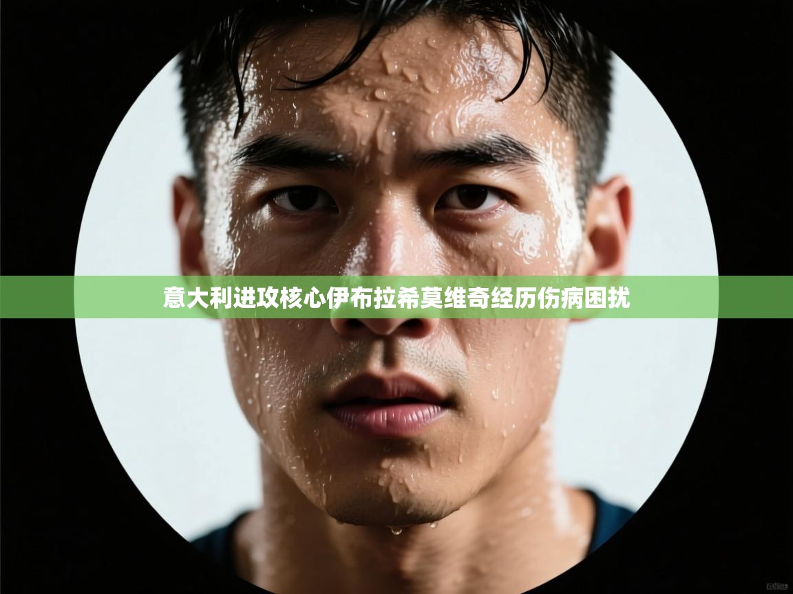 意大利进攻核心伊布拉希莫维奇经历伤病困扰 第2张